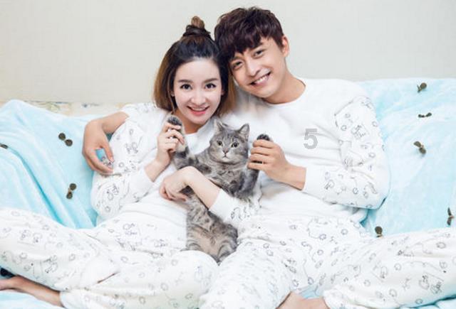 小猫钓鱼正版下载中文版